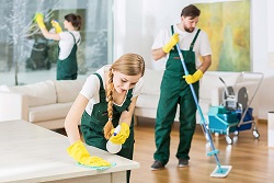 Building Cleaning Services